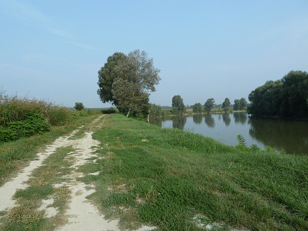 Il sentiero lungo il fiume