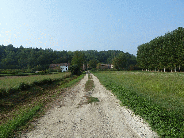 I campi coltivati in regione Rolle