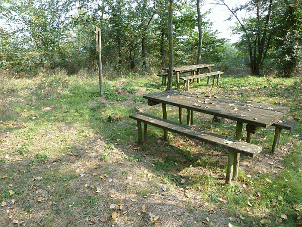 Area di sosta