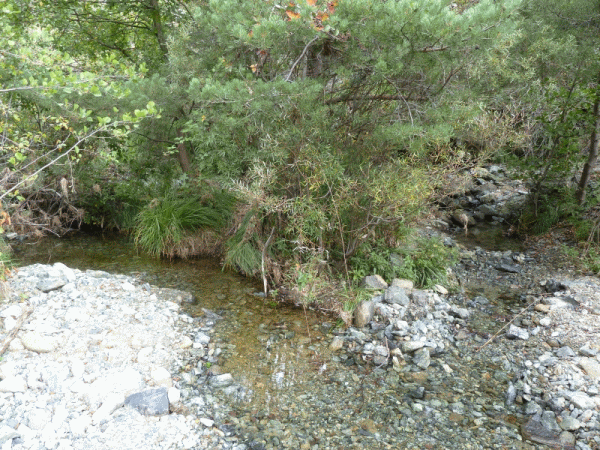 Le sorgenti del Rio Creuz