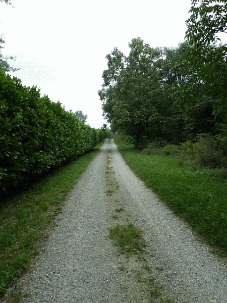 La carrozzabile