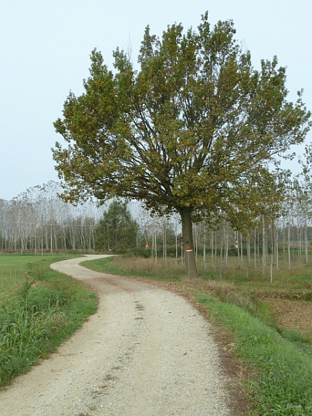 Un tratto del percorso