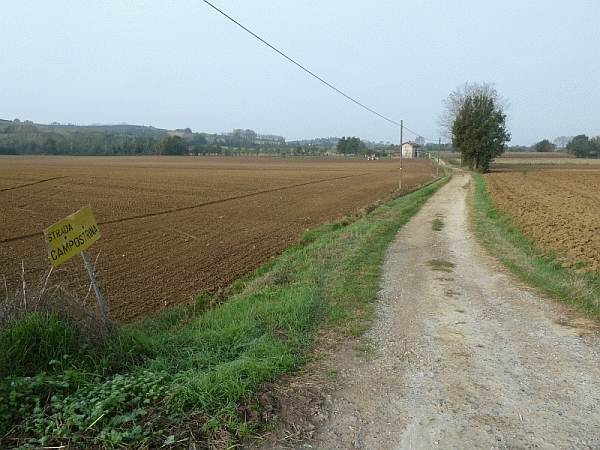 Strada Campostrina