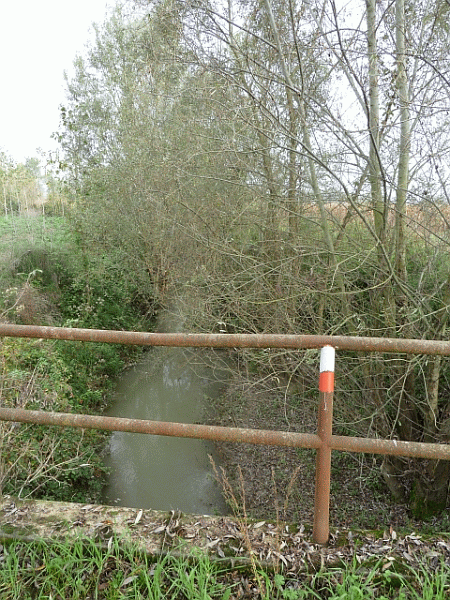 Scorcio del Torrente Grana