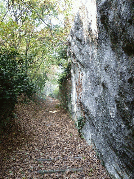 Affioramento roccioso