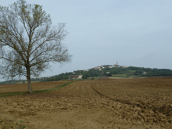 La campagna intorno a Conzano