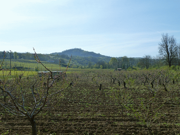 Veduta del Monte Brienzone