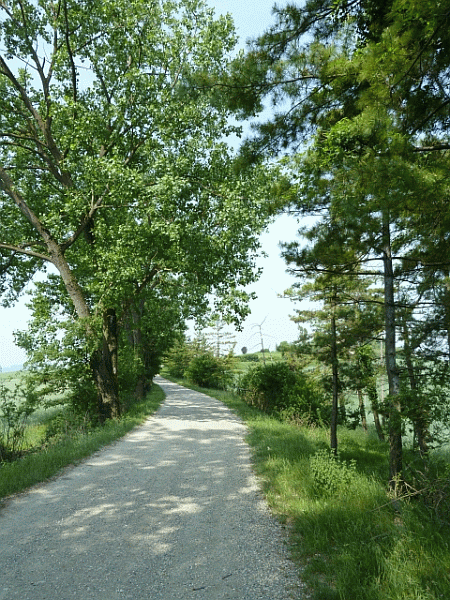 Un tratto del percorso