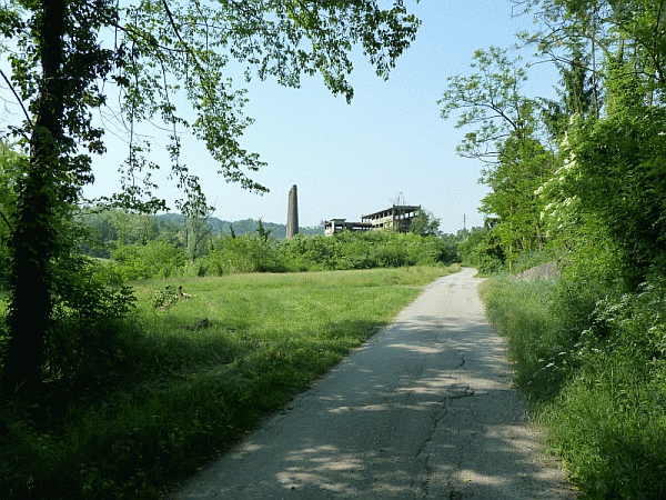 La struttura invasa dalla vegetazione