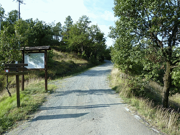 Avvio del percorso (503m)