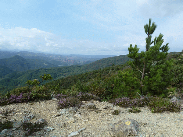 Paesaggio dal percorso