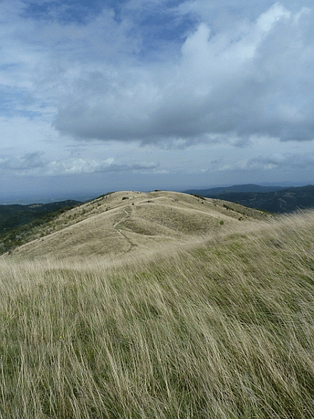 Panorama dalla vetta