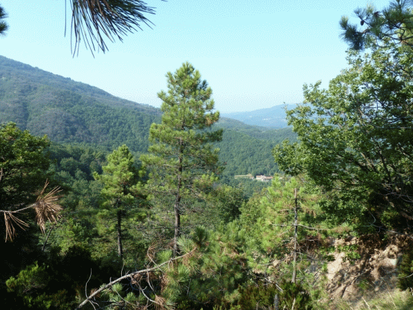 Panorama dal percorso