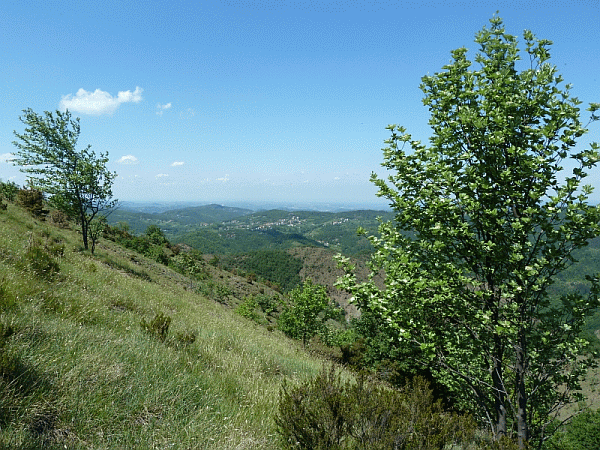Panorama dal sentiero