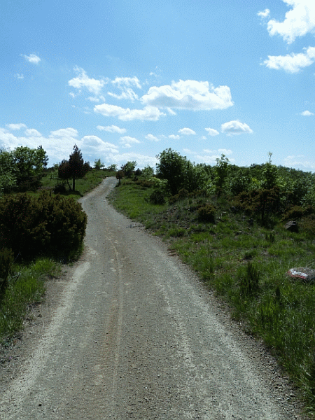 La carrareccia sul crinale