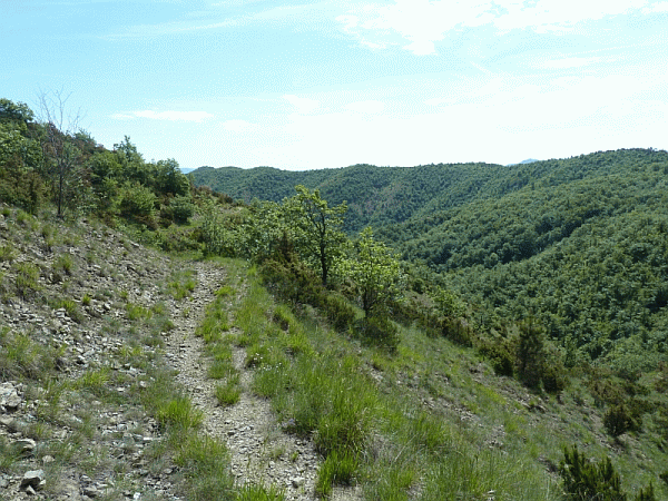 Le selvagge pendici del Bric dei Gorrei