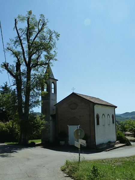 Olmo centenario nei pressi della chiesetta di Reguardia