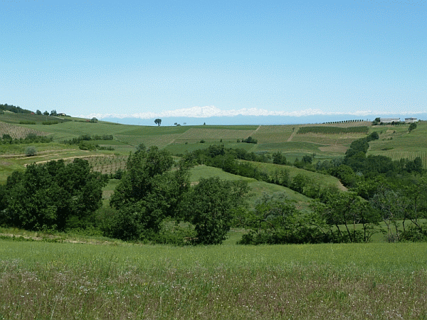 Le dolci colline tortonesi