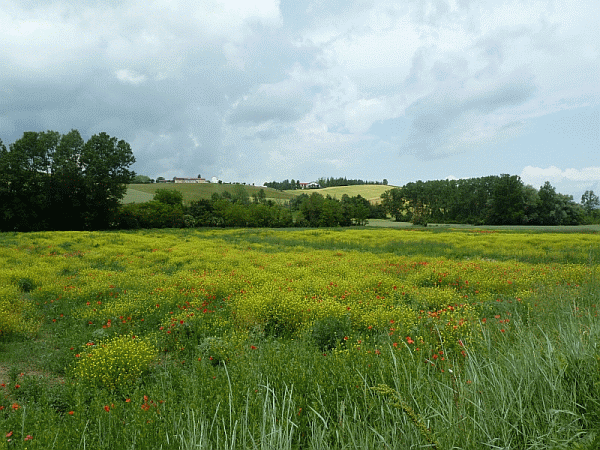 Paesaggio primaverile