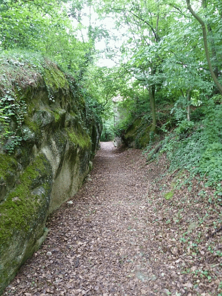 Discesa dal Sacro Monte