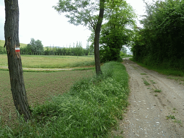 La strada campestre
