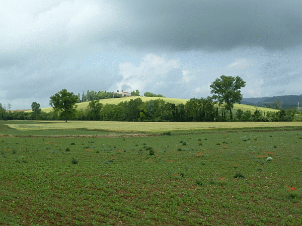 I colori della campagna