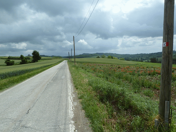 La strada panoramica tra Cereseto e Treville