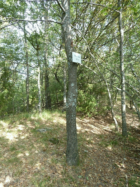La cima del Monte Saia (1167m)