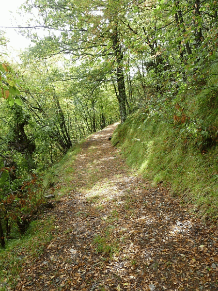 Un tratto del percorso
