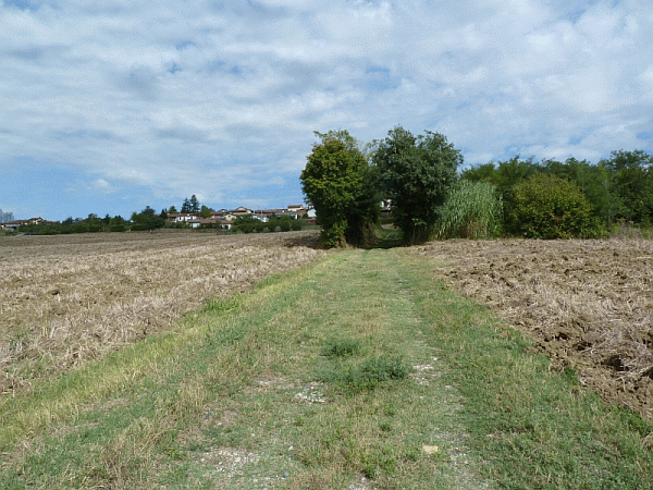 Ritorno a Coniolo Bricco