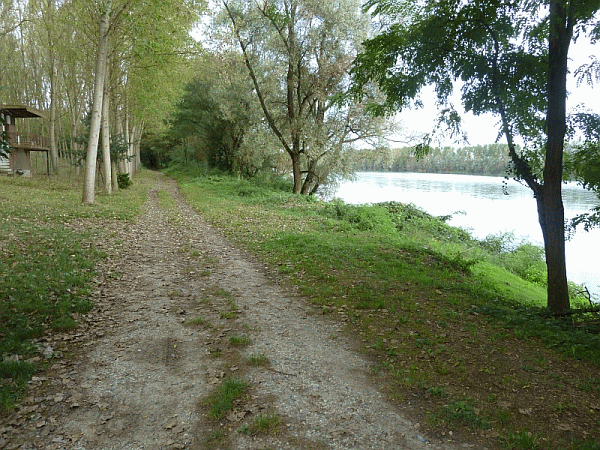 Il percorso lungo il Po