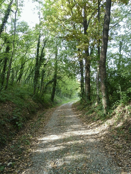La risalita verso Coniolo Basso