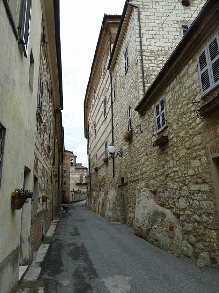 La via principale di Cella Monte