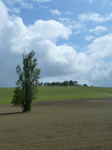 Panorama dal sentiero