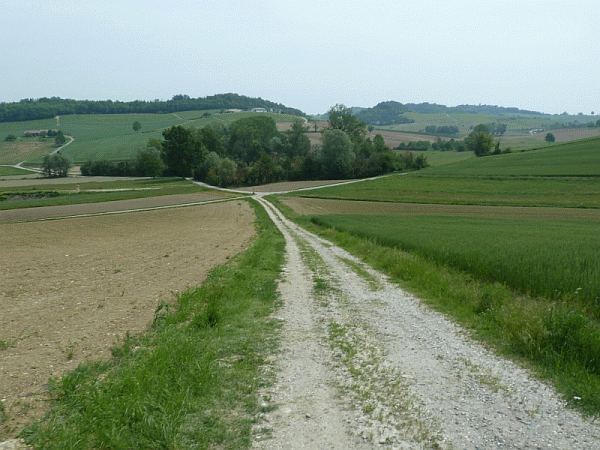 Il percorso nei pressi della Cascina Colonia