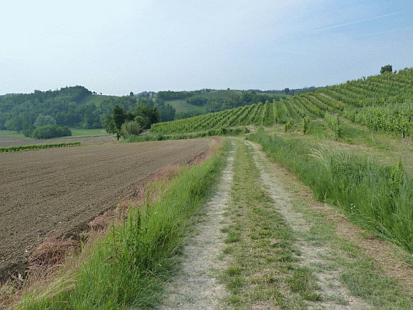 Il percorso poco dopo la Cascina Fornasone
