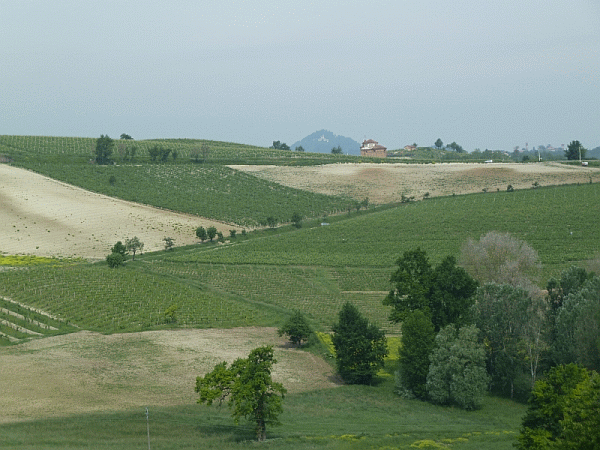 Panorama primaverile