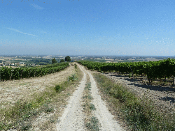 Sul crinale