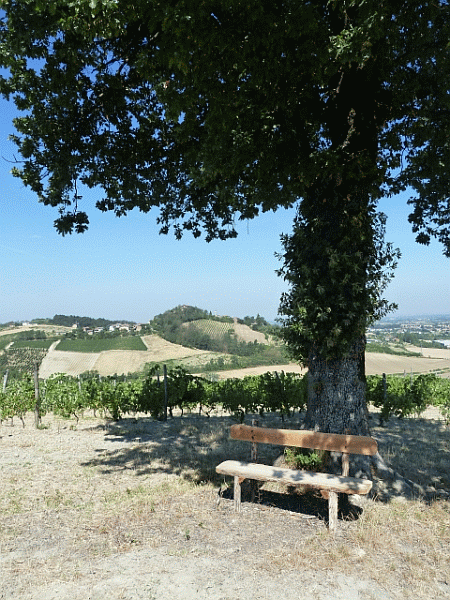 Area di sosta panoramica