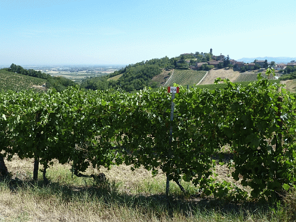 Panorama dal sentiero