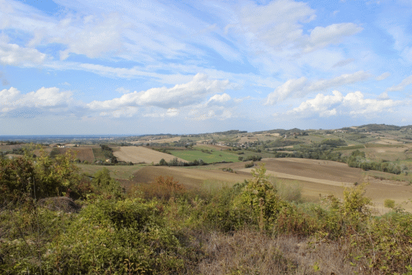 I colli tortonesi