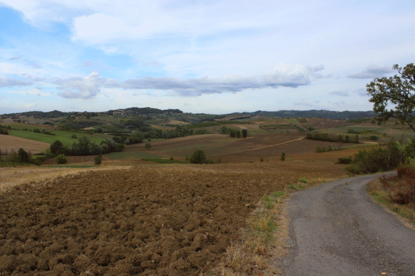 Strada dei Gerbidi