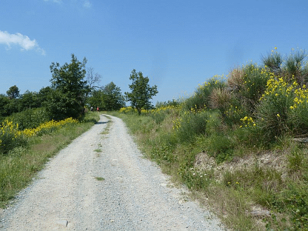 Un tratto del percorso