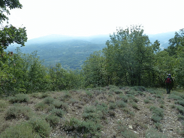Panorama dalle pendici del Gavasa