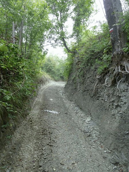 La strada sterrata