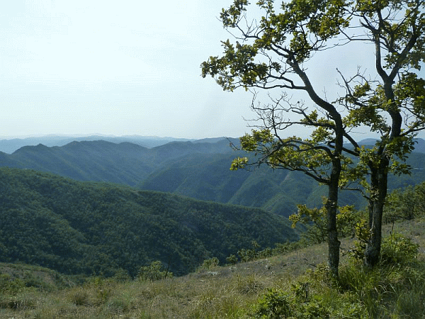 Panorama dal sentiero