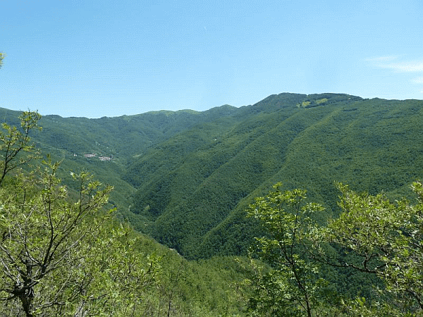 Panorama sulla Val Borbera