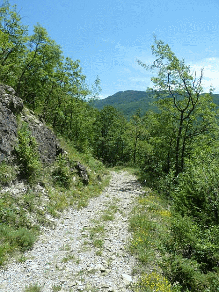 Un tratto del percorso