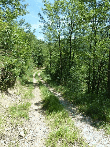 La carrareccia