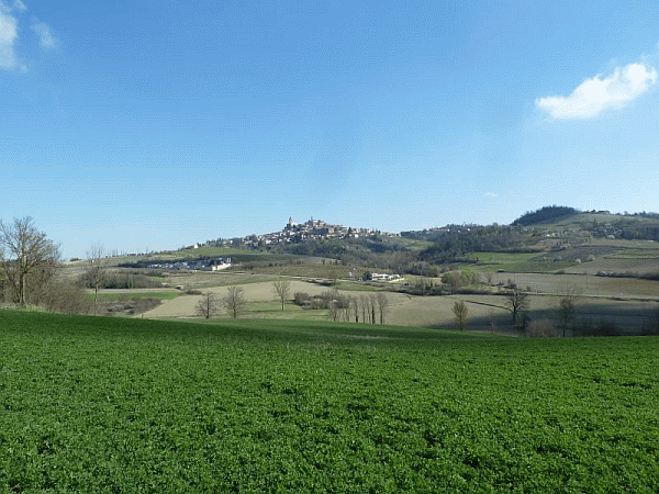 Veduta di Vignale M.to